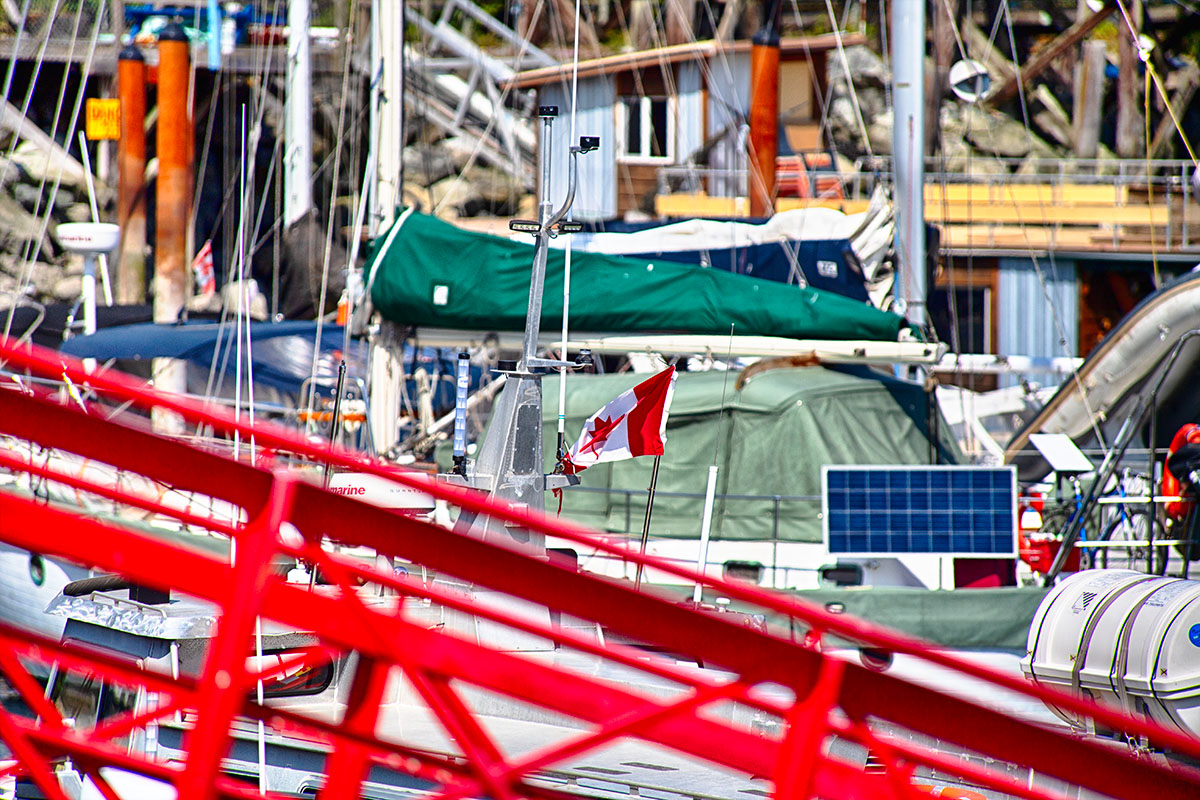 🇨🇦 True North Strong and Free 🇨🇦 #canada #elbowsup #madeincanada #buycanadian #flagaday