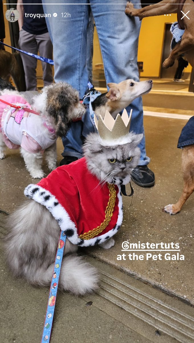 Sam Roberts’ Show tweet media