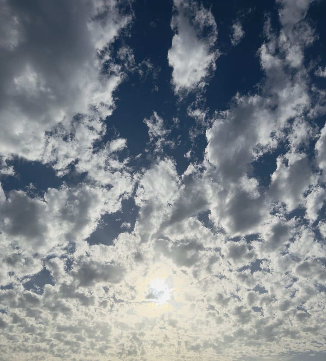 It is very beautiful weather.🌦️