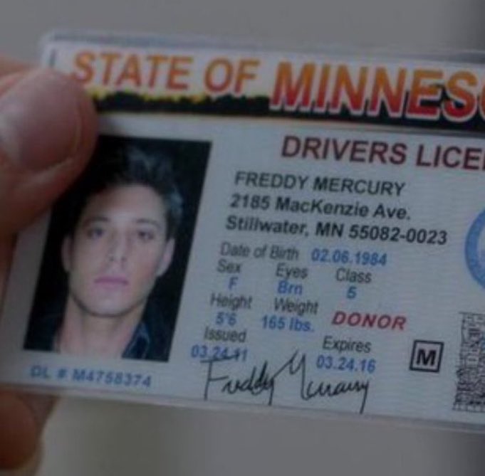 pedro 🌿 tweet media