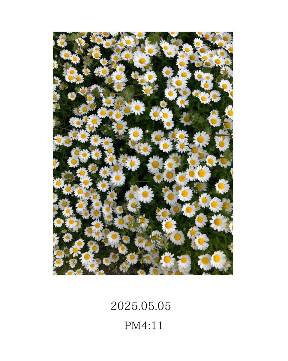 小島葵 Roco tweet media