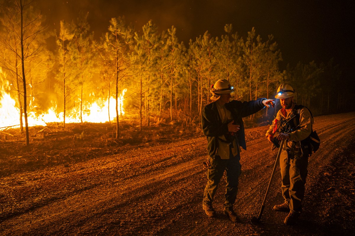 So far this year, 550 wildfires have burned more than 9,000 acres in Virginia. While spring fire season ended on April 30, wildfires can start anytime. Always be mindful of the weather when planning fires. Save this page to view daily wildfire conditions: ow.ly/bgW450VM5S0
