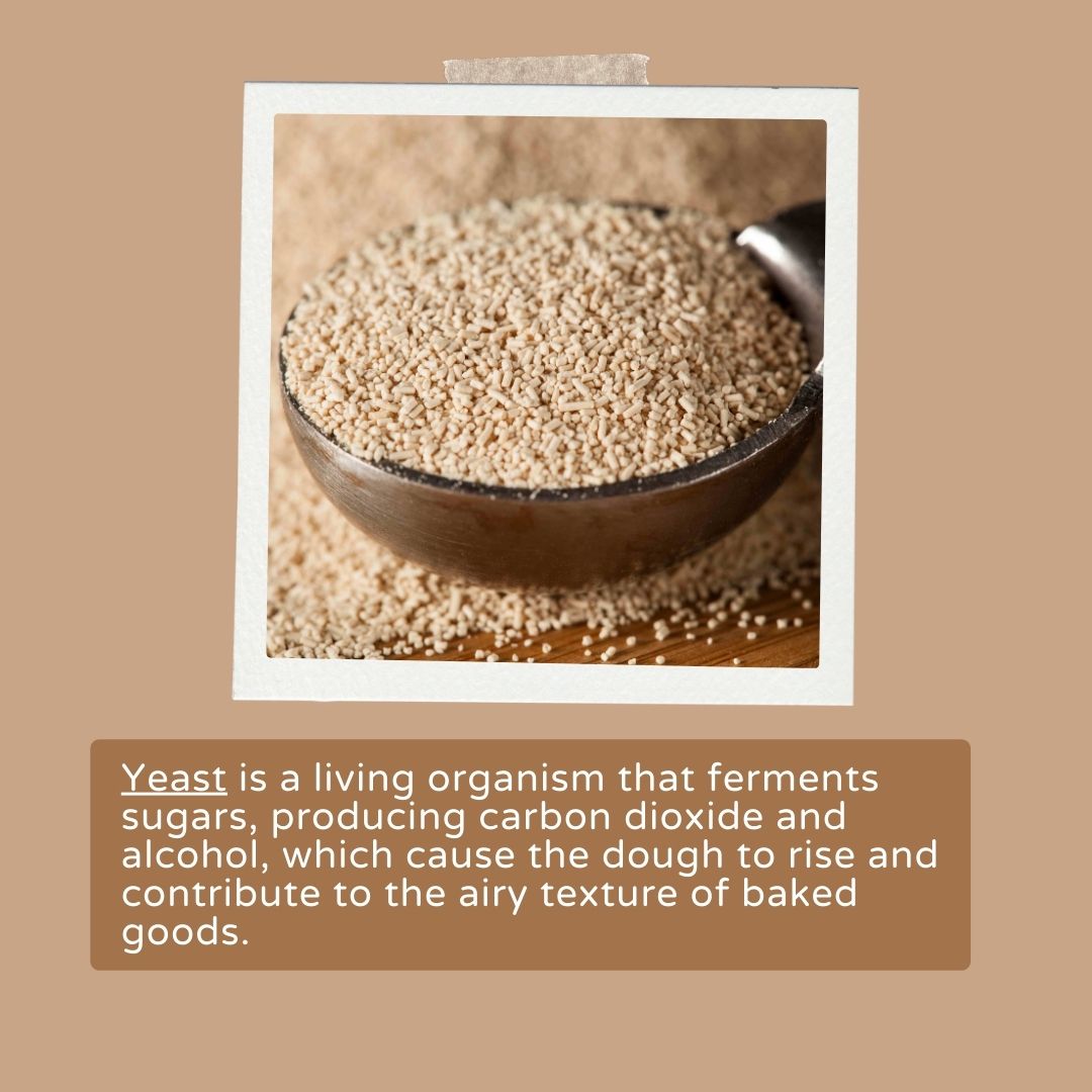 bestbakingtips's tweet photo. Yeast is alive and rising—literally—turning sugar into airiness and flavor in every bite! 🍞🧪✨

Read more: https://t.co/M7F96TyUwo

#BakingEssentials #YeastPower #DoughRising #BreadScience #HomeBaking https://t.co/2yZkmQPYoc