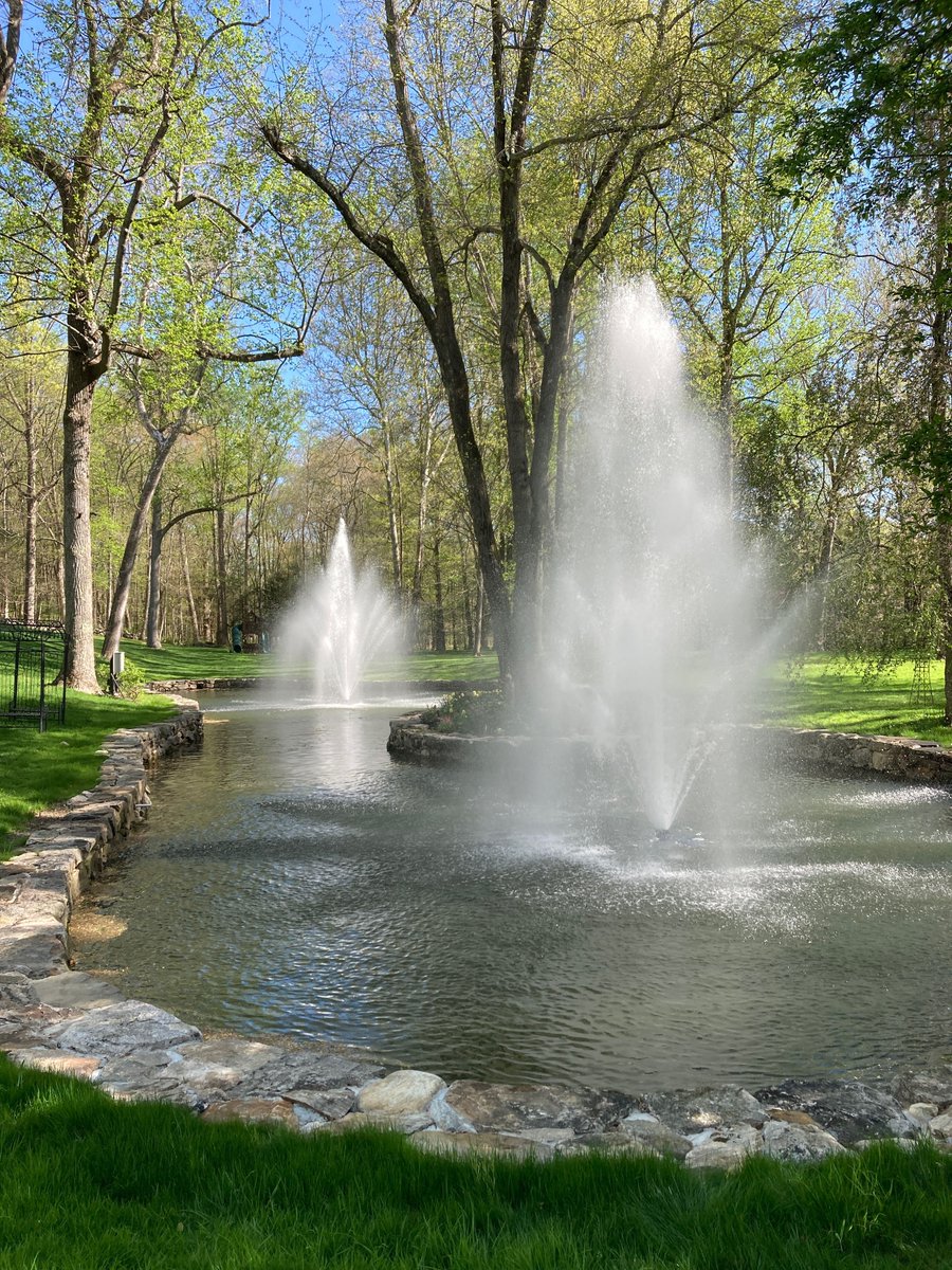 thepondandlake's tweet image. Two AquaMaster aerator fountains were recently installed in Greenwich, Connecticut, enhancing the visual appeal of this backyard pond. 

#pondaerator #fountaininstall #pondmanagment #fairfieldcountyct