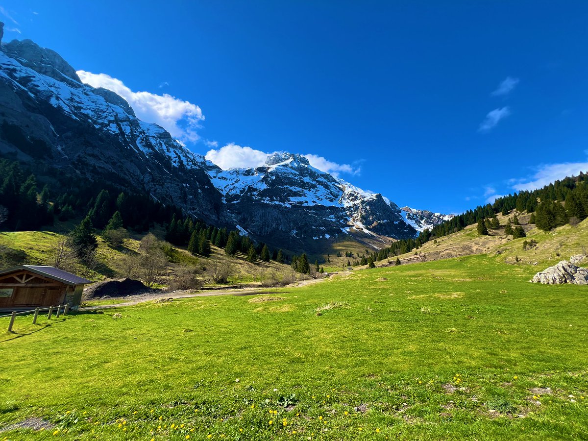 Good morning everyone!

Disappointment stings,
but it also shows you cared,
that you tried.

Don’t let it turn you bitter. Let it sharpen your clarity.

Have a great day!