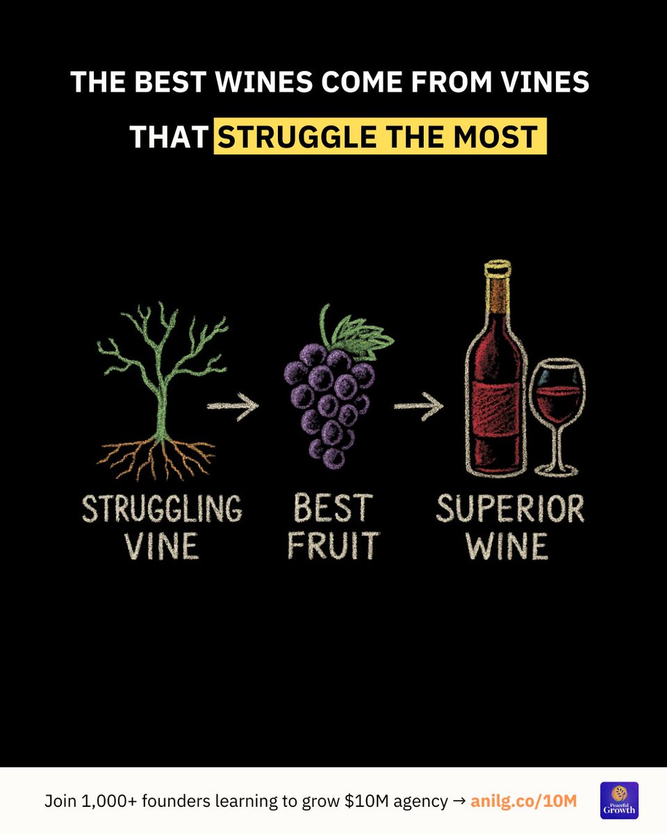 In 2016, I visited a vineyard in Napa.

The wine was great.
But the winemaker said something weird.

“The best wines come from vines that struggle the most.”

I raised an eyebrow.

He wasn’t joking.
They intentionally limit the water.
No pampering. No shortcuts.

Because when