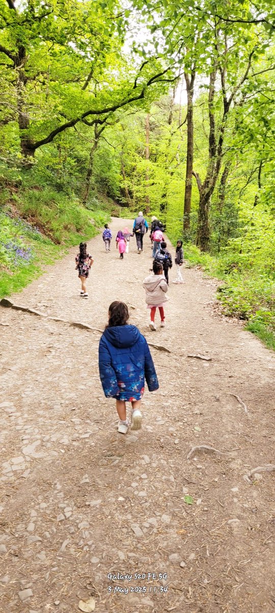 pikes-lane.bolton.sch.uk tweet media