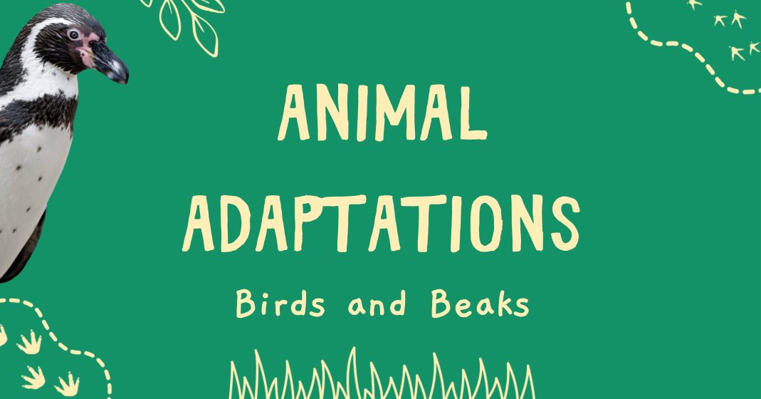 Ms. Dixon tweet media