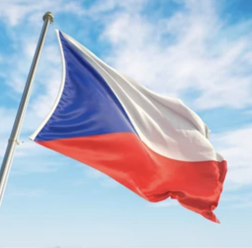 pete_rizzo_'s tweet image. BREAKING: CZECH CENTRAL BANK GOVERNOR SAYS #BITCOIN IS AN "UNCORRELATED ASSET" AND THAT THE COUNTRY SHOULD LAUNCH A "TEST PORTFOLIO" 

HIS GOAL IS TO INVEST 5% OF THE COUNTRY'S RESERVES IN BTC. BULLISH 🔥