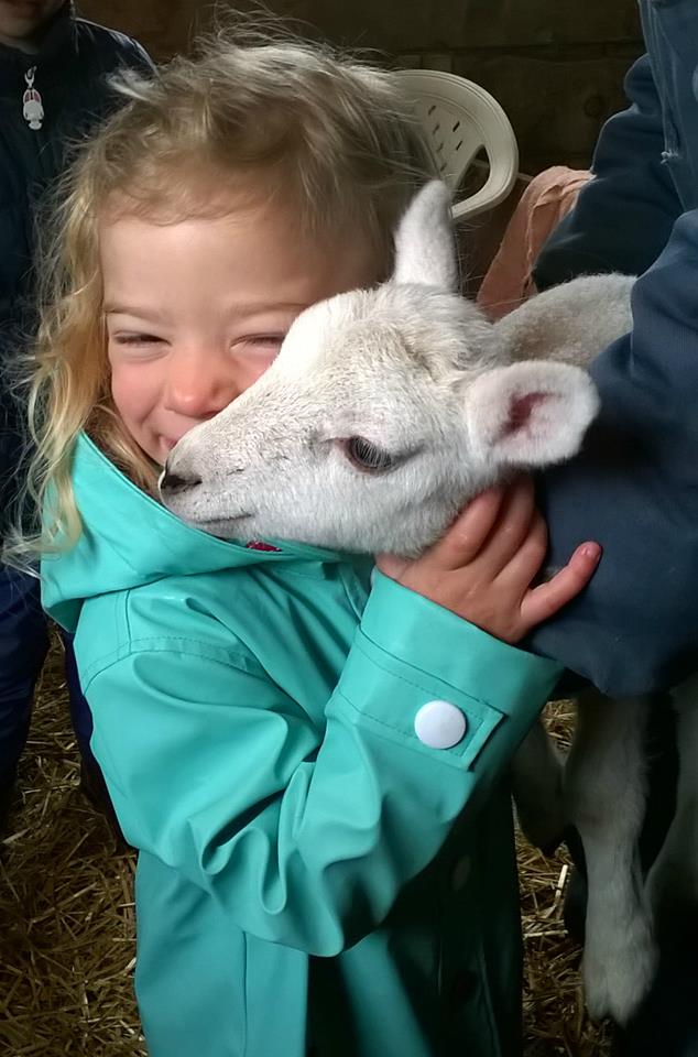 Topsy Farms tweet media