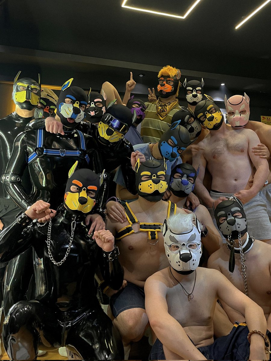 贴到了好多狗狗～