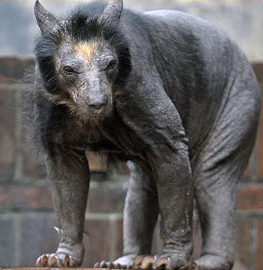 Issa_INC's tweet image. Just realized I left yall in the dark 
So BOOM Friday I was streamingnshit right it was a bad ass lightning storm near me and lightning hit my PC and cooked my shit so I gotta get another one but imma try to get a better one Thursday cuz them joints be high and a nigga poor