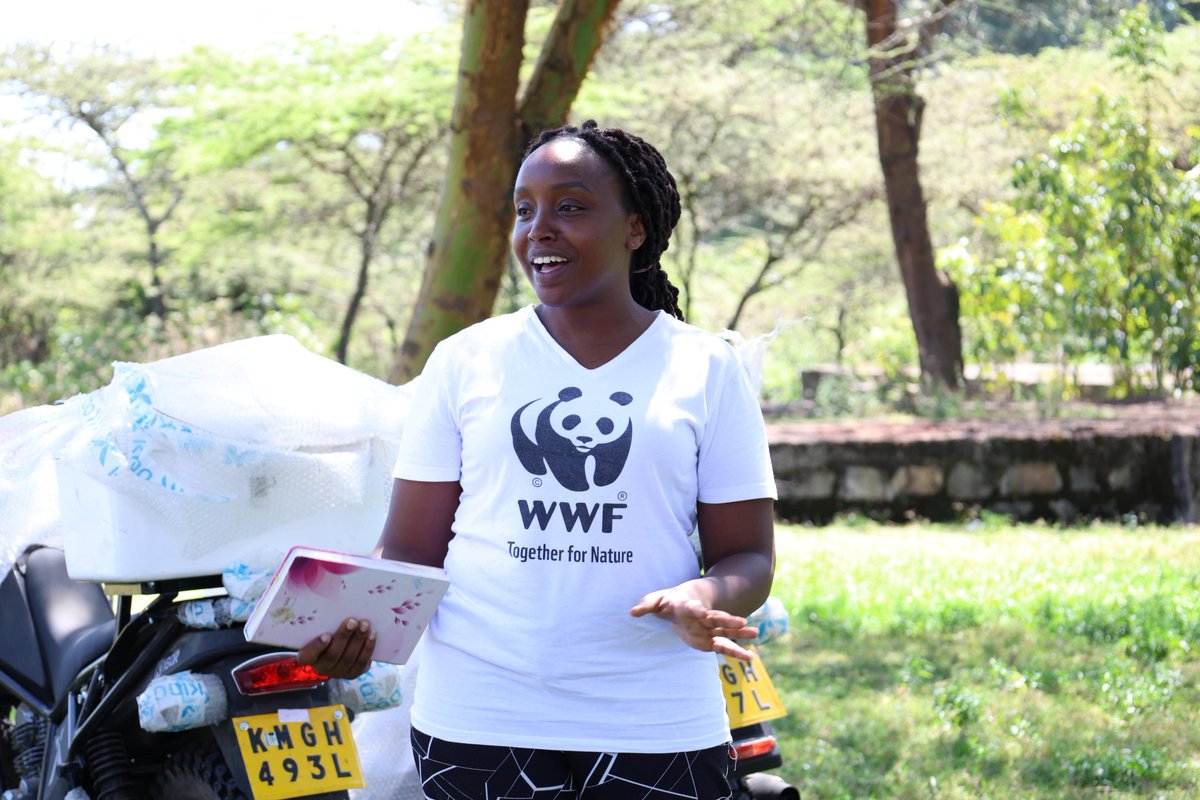 WWF_Kenya's tweet photo. #StaffAppreciationTuesday

Meet Doreen Munyi, a driving force behind our freshwater and forest conservation efforts in the Greater Mau-Mara sub-landscape. She plays a key role in strengthening community ties and championing the conservation of natural resources for the benefit of people and nature.

For nearly four years, Doreen has brought unwavering energy and purpose to every initiative—whether coordinating water access projects, advancing forest restoration, or working alongside local partners to build a more sustainable future. Her work is rooted in a deep commitment to improving lives while safeguarding nature.

Outside the office, and often in her hiking boots, Doreen lives her love for the environment. She’s an avid hiker and cyclist who draws joy and inspiration from the very landscapes she helps conserve. A reminder that conservation isn't just a job. It’s a way of life.

We’re proud to have Doreen on our team.