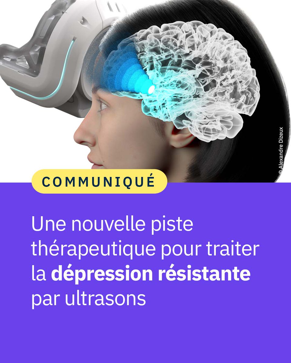 CNRS 🌍 (@cnrs) on Twitter photo #Communiqué 🗞️Une personne sur cinq souffrira de dépression au cours de sa vie. Une récente étude menée par des scientifiques révèle un traitement prometteur pour réduire les symptômes de la dépression 🌀🧠
👉cnrs.fr/fr/presse/une-… #Communiqué 🗞️Une personne sur cinq souffrira de dépression au cours de sa vie. Une récente étude menée par des scientifiques révèle un traitement prometteur pour réduire les symptômes de la dépression 🌀🧠
👉cnrs.fr/fr/presse/une-…