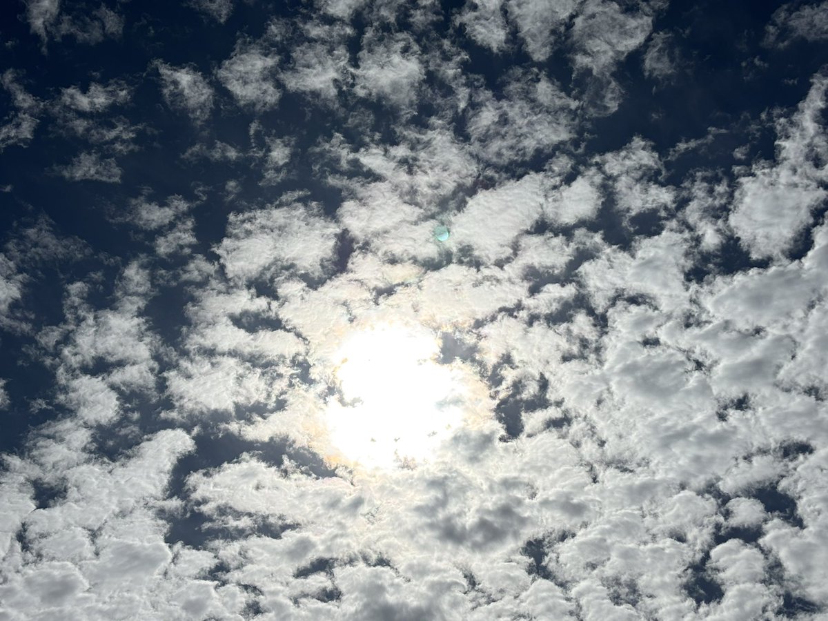 We each need to sing
in different keys—
one day joy, next day grief—
songs of glee, #elegies,
#withheld can be like ties
binding wings
singing frees
lets stretch &amp; fly by flapping
up &amp; down
from ground to heights undreamed
pressed by depths beneath.
#vsspoem
#vss365
#poem
#poetry