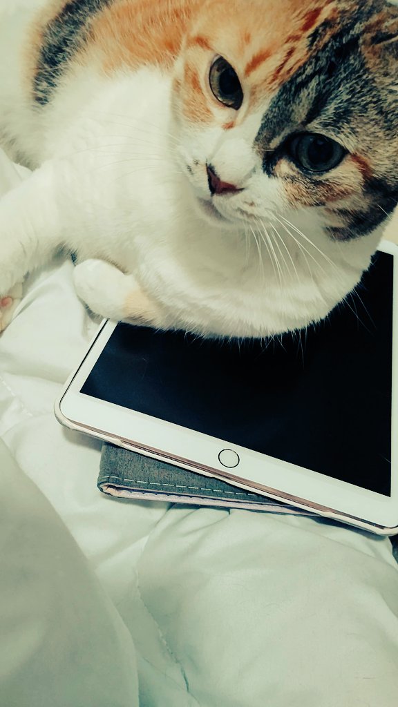 え今日でやすみ終わりじゃないですよね