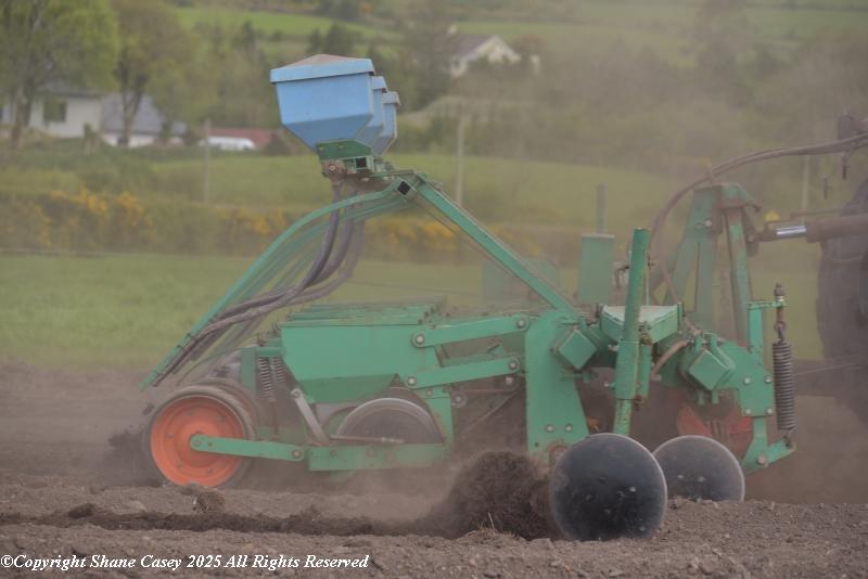 #SpringTillage2025 is coming to a close quickly with just some beet, maize and grass reseeding to left. I was delighted yesterday to get <a href="/DaveMulcahy/">Dave Mulcahy</a> planting beet locally with his Same Dorado 60 &amp; 6 row Armer Salmon planter 
#IrishFarming #IrishAgri #IrishTillage