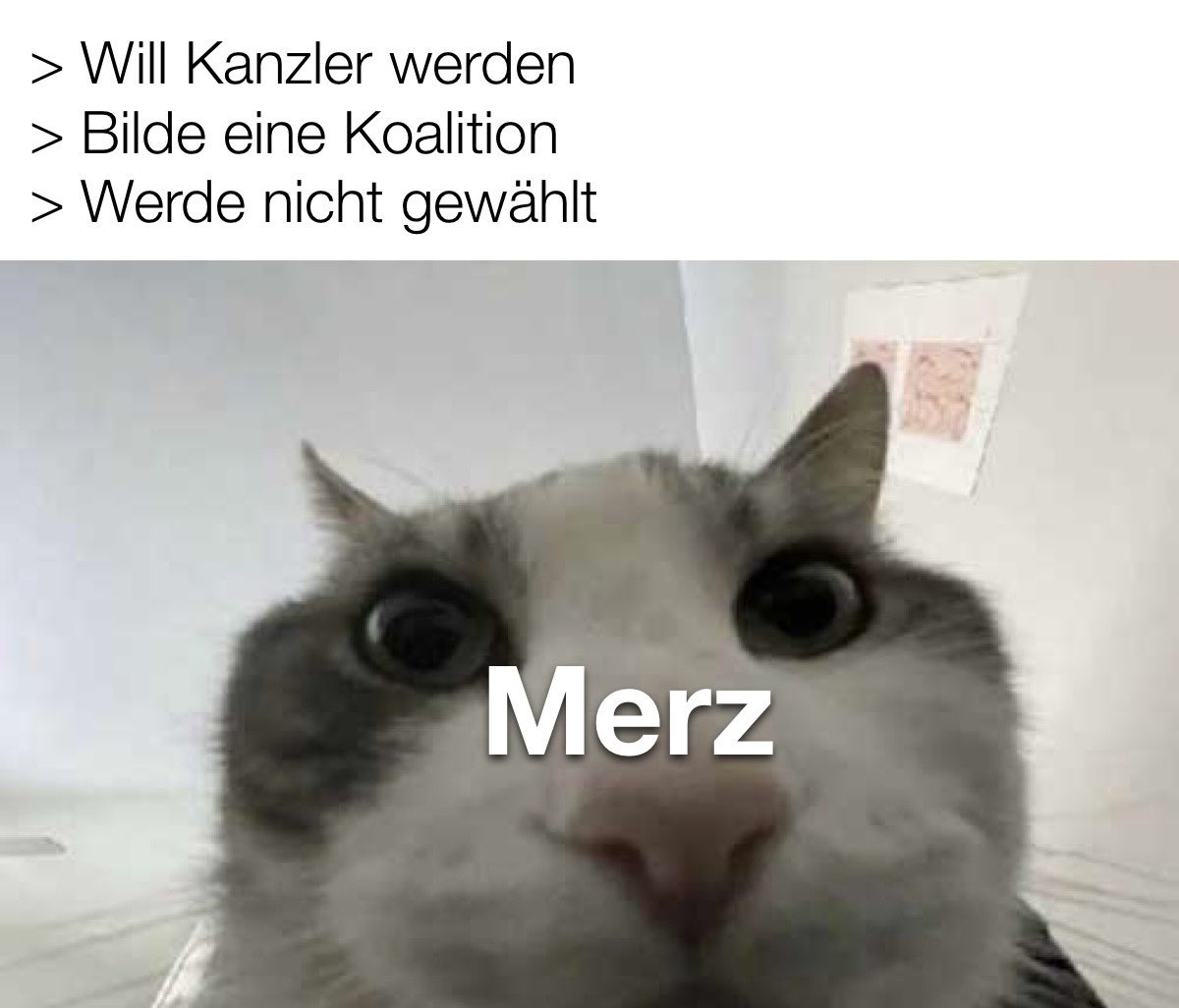 Satz mit X das war wohl nichts. #Merz #Kanzlerwahl