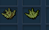 naywils's tweet photo. @RuneScape Are we really making the most iconic/recognizable herb in the game rs3/osrs this ? https://t.co/WPU0SW4FNk