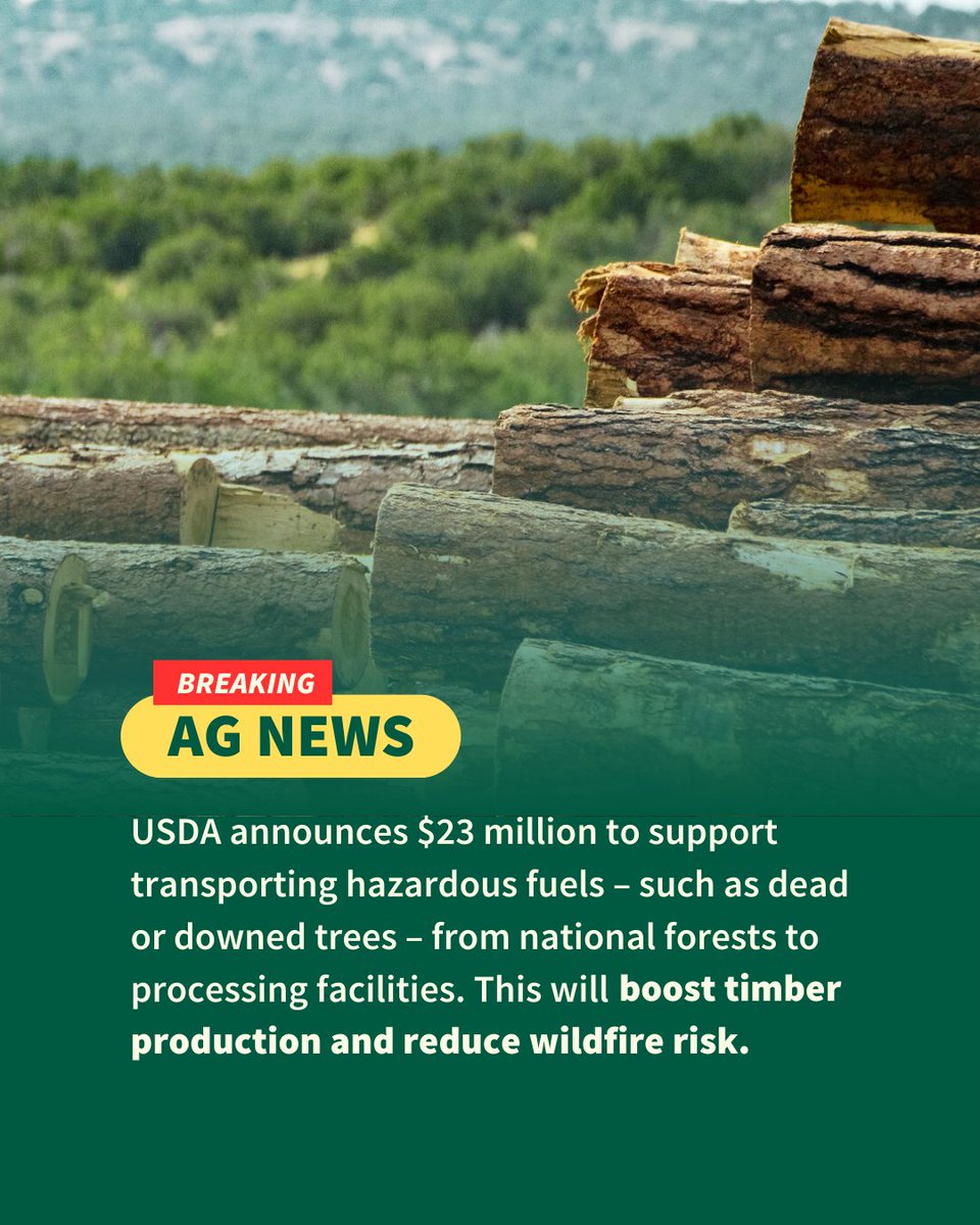 🚨 USDA is boosting timber production, reducing wildfire risk and supporting jobs - TRIPLE WIN.

We're funding grants that remove dead trees and low-value wood from national forests. Turning potential wildfire fuel into useful products = Healthy forests and rural prosperity!