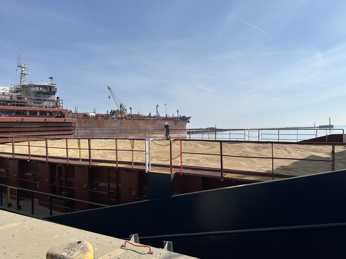 ADM Agriculture Ltd (@admagriculture) on Twitter photo 🚜Another successful shipment!
We’ve just completed loading the Fri Gdansk at <a href="/PeelPorts/">Peel Ports</a> Yarmouth facility with 3999.06mt of locally sourced feed barley, now heading to Ireland 🇮🇪.
Big thanks to our hauliers & Control Union UK.
#ADMAgriculture #FeedBarley #Ireland 🚜Another successful shipment!
We’ve just completed loading the Fri Gdansk at <a href="/PeelPorts/">Peel Ports</a> Yarmouth facility with 3999.06mt of locally sourced feed barley, now heading to Ireland 🇮🇪.
Big thanks to our hauliers & Control Union UK.
#ADMAgriculture #FeedBarley #Ireland