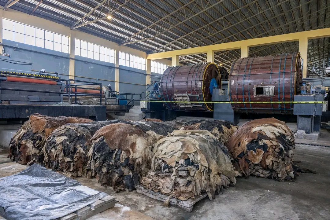 PS Kello Harsama,CBS (@harsama_kello) on Twitter photo H.E <a href="/WilliamsRuto/">William Samoei Ruto, PhD</a> commissioned the Ewaso Ngāiro Tannery and Leather Factory in Narok County ā a milestone in strengthening Kenyaās leather value chain through enhanced local processing and value addition.
<a href="/CSBeatriceMoe/">Hon. Beatrice Askul Moe</a>
<a href="/kilimoKE/">Ministry of Agriculture & Livestock Development</a>
<a href="/ASALs_Regional/">State Dept for The ASALs and Regional Development</a>
<a href="/ENSDAKE/">Ewaso Ng'iro South Development Authority(ENSDA)</a>
<a href="/NOloitiptip/">Ngala Oloitiptip</a> H.E <a href="/WilliamsRuto/">William Samoei Ruto, PhD</a> commissioned the Ewaso Ngāiro Tannery and Leather Factory in Narok County ā a milestone in strengthening Kenyaās leather value chain through enhanced local processing and value addition.
<a href="/CSBeatriceMoe/">Hon. Beatrice Askul Moe</a>
<a href="/kilimoKE/">Ministry of Agriculture & Livestock Development</a>
<a href="/ASALs_Regional/">State Dept for The ASALs and Regional Development</a>
<a href="/ENSDAKE/">Ewaso Ng'iro South Development Authority(ENSDA)</a>
<a href="/NOloitiptip/">Ngala Oloitiptip</a>