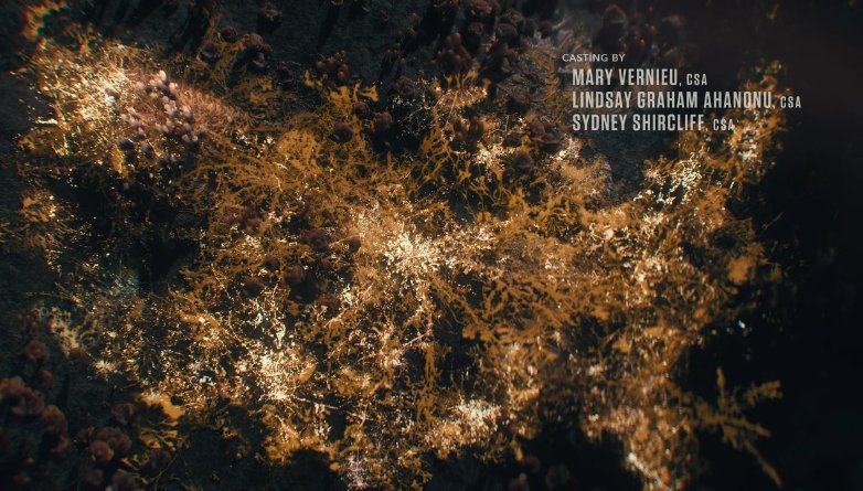 ftdmfrogs's tweet photo. Lindsay Graham Ahanonu and Sydney Shircliff are also credited for their work casting the series this season. 

We love seeing our Horned Frogs’ names on the screen!

#ftdmfrogs

2/2 https://t.co/tZ1L656pwe