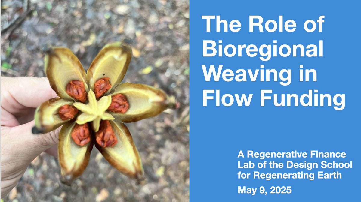 Join me this Friday in the Design School for this special webinar on bioregional weaving and how to create flow funding systems that regenerate entire territories.

For members of the Design School:
…n-school-for-regenerating-earth.mn.co