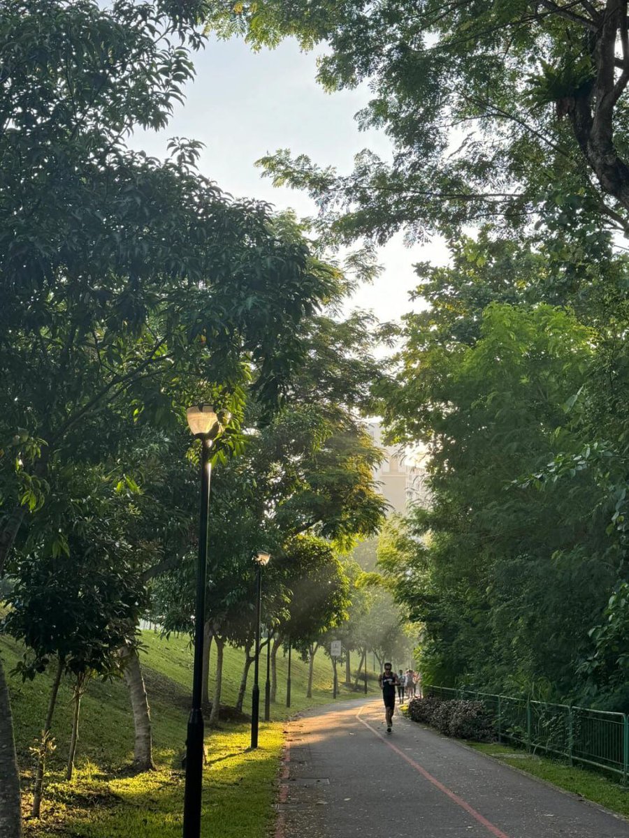 Nature never rushes, yet everything gets accomplished 🌳✨ #PeacefulMoments