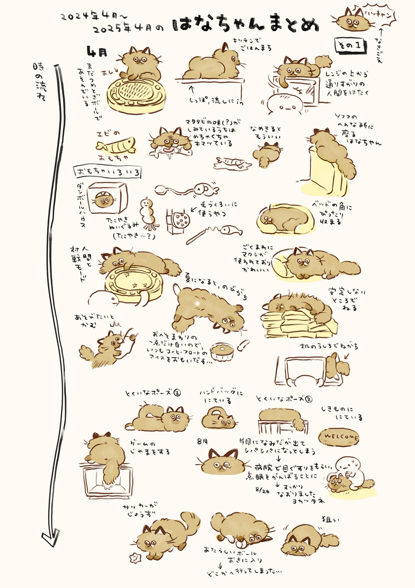 通販 送料無料  🐟ねこのぶーちゃんヤマシロヤ常設中🐼🍤 高橋きの on  X: ウィッグ・エクステ