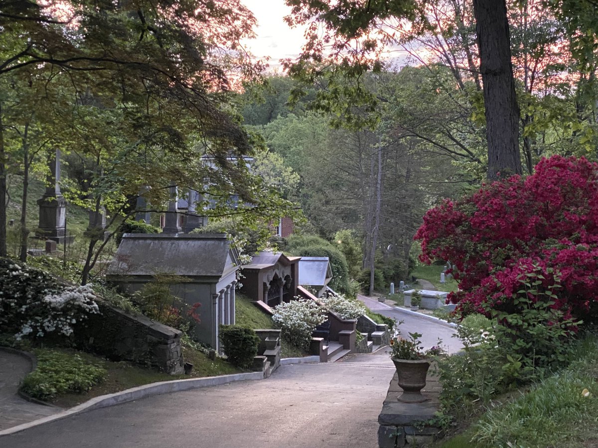 “Grow through grief, for in the end, it will only reveal a new horizon ...a sunrise even after the sun sank into the sea.”
― Jayita Bhattacharjee
#Sunrise #OakHillCemeteryDC