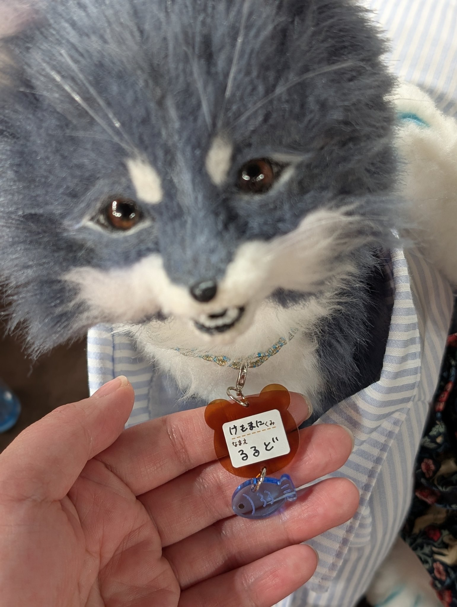 猫×蝶 ケモノ アートドール がっつく