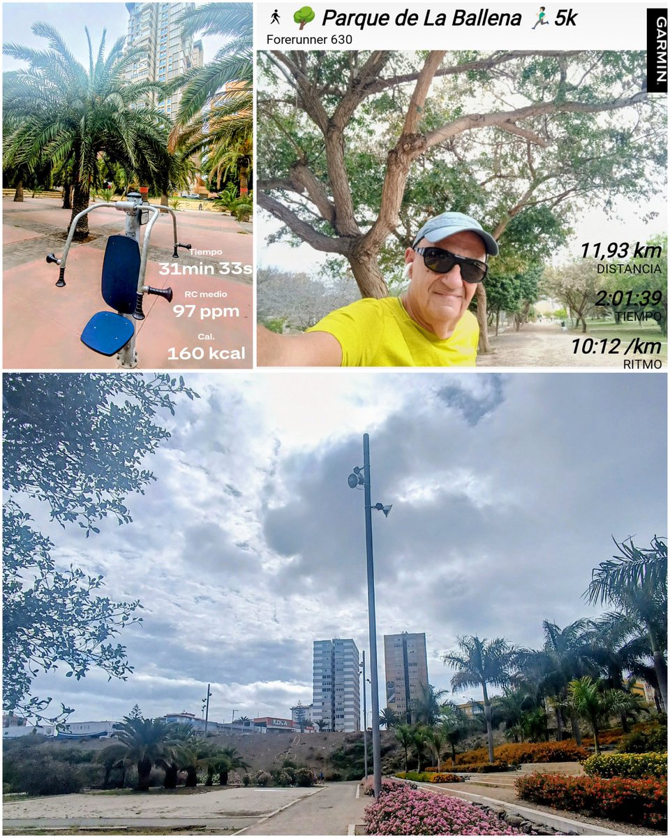 BiciGranCanaria's tweet photo. 🏋🏻 30'🚶‍♂️7k 🏃🏻‍♂️5k
🌴#JardinesBuenavista
🌺#ParqueDeLaBallena
☁️#MeteoGC 🕦🌡️20°
🎧#Supertramp
#LasPalmasDeGranCanaria
#GranCanaria
#Correr #Runnner
#Running #Jogging #Finisher42
#RunningLife #LoveRunning
#Carrera #CarreraAPie
#MuscleExercise
#DIABETESTIPOFREE
#MUÉVETEFRENTEALCÁNCER https://t.co/GKIlDdkto5