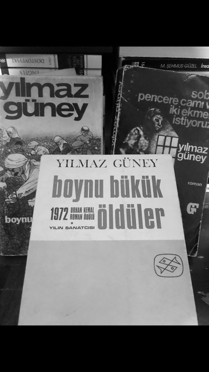 Düşünsene #YılmazGüney sin döneme 
Damga vuran Yeşilçam’ın #ÇirkinKralı 
Roman yazıyorsun ve onu en sevdiğin arkadaşına armağan ediyorsun ..
   
 Adana’yı severim Adana’da,sevdiğim insanlar yaşar.Şükrü Tekbaş onlardan biri; Bu Romanı ona adıyorum.
 
Boynu Bükük Öldüler
