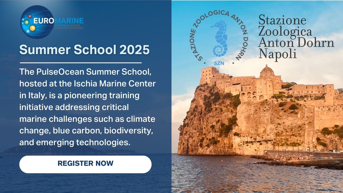 🌊 Coming Soon: PulseOcean Summer School 2025 
 📍 Ischia Marine Center, Italy | 📅 September 2025

📢 Registration is now open!
 🔗 More details: euromarinenetwork.eu/activities/tak…