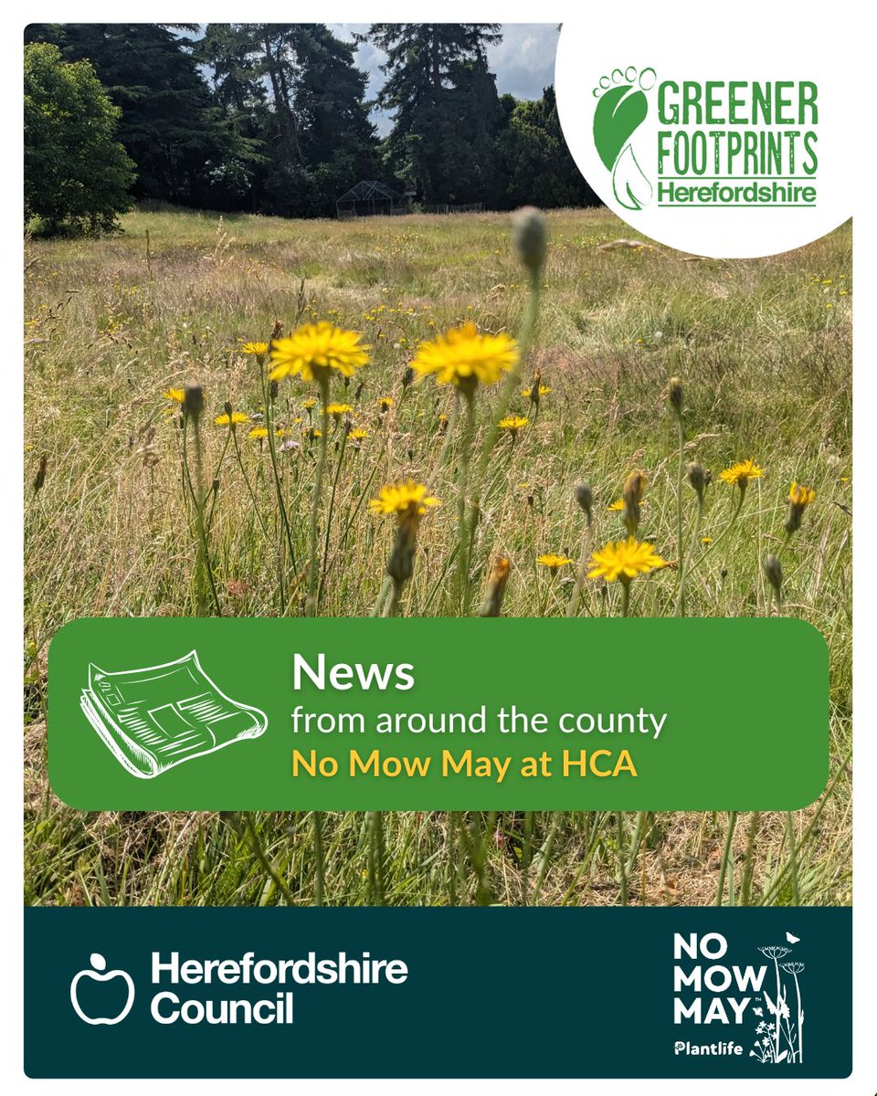 Do more for nature by doing less: get involved in No Mow May for the benefit of plants and pollinators alike 🐝 🌱 

Herefordshire College of Arts are already on board. Read more about their success so far in this news article orlo.uk/Dhtnb
