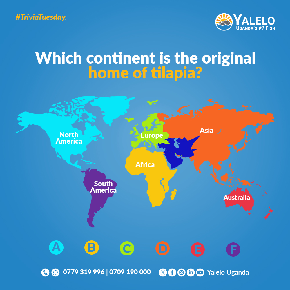 YaleloUganda's tweet photo. Drop your answers in the comment section 👇. #TriviaTuesday. https://t.co/RrwM1bWh15