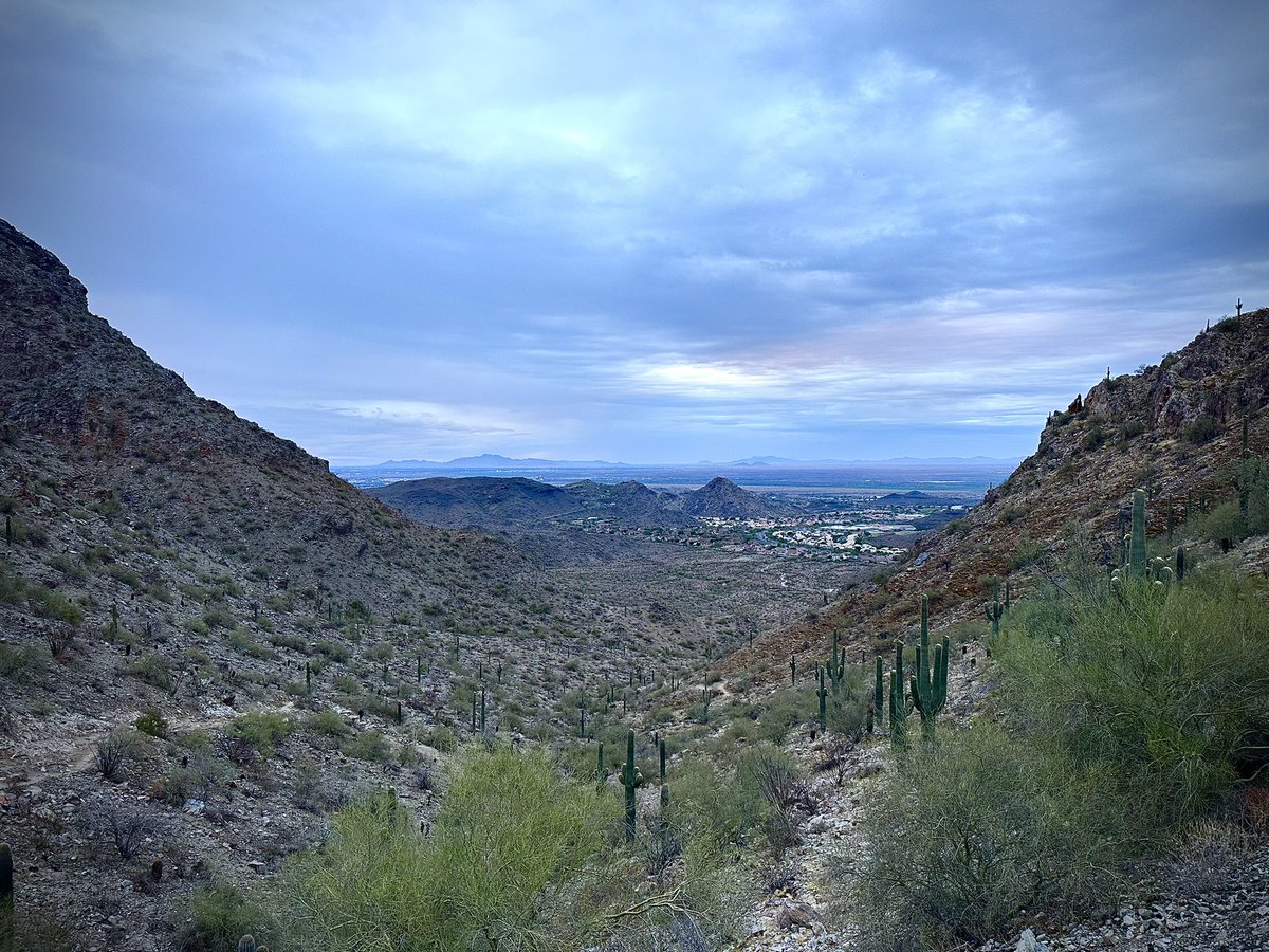 F3Centerfold / Mike Micciche tweet media