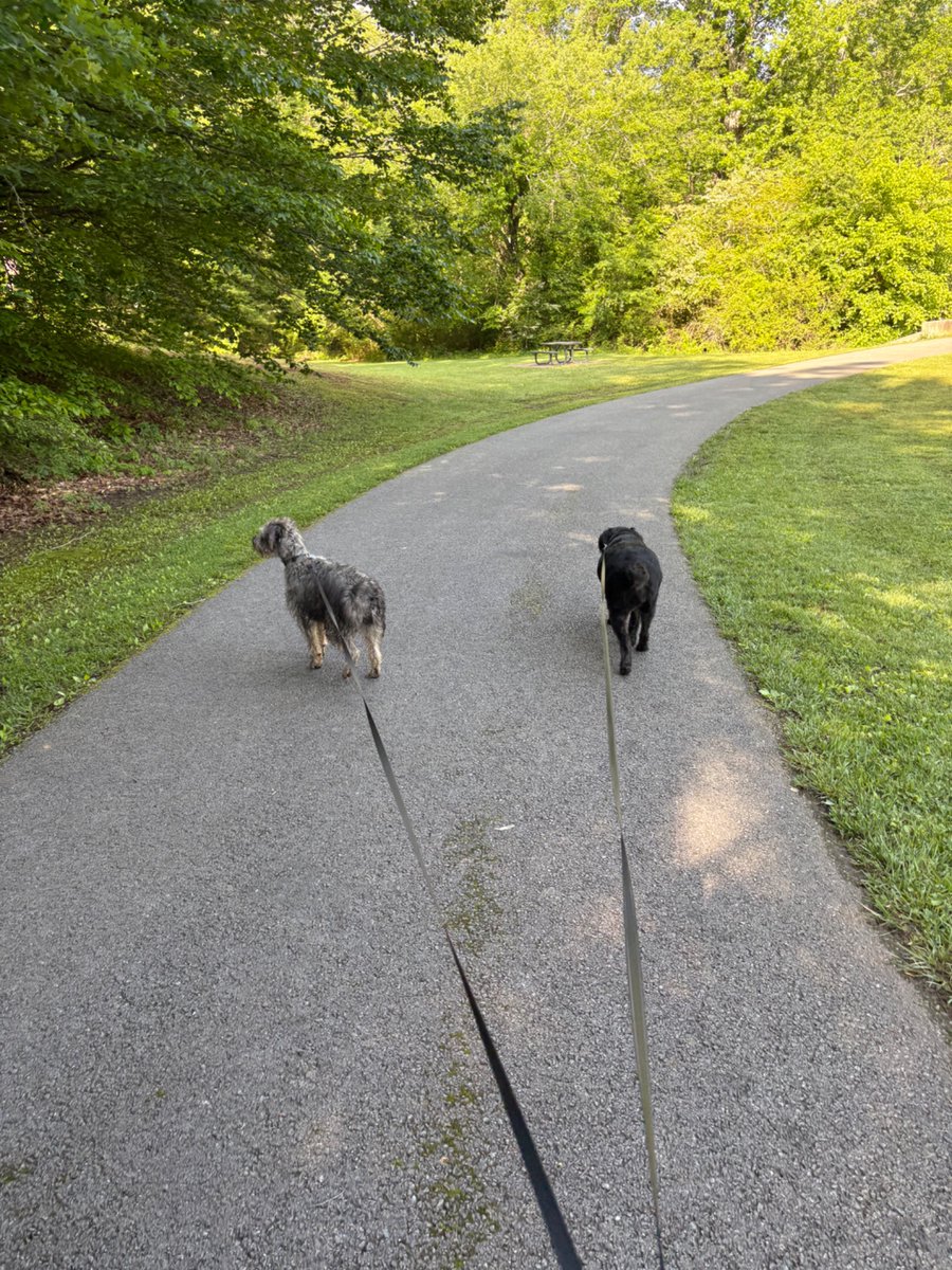 If you know me, you know how much I love my daily walks. Pain forced me to stop them last Sept. Finally cleared to start walking with some very strict guidelines (1 mile max at 2.5mph for now) happy to be out walking.   Mental and physical therapy all in one!