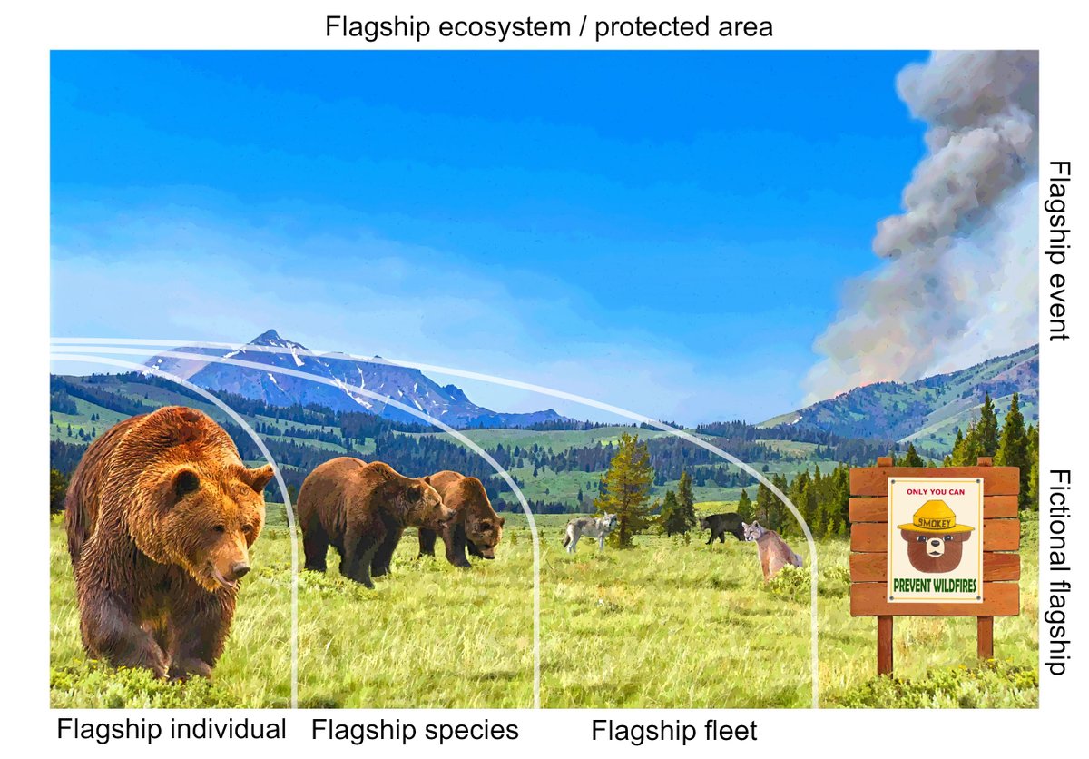 What makes a species, ecosystem, or even an event, a conservation flagship?

Researchers propose a new framework for "flagship entities" - unique, communicable symbols that galvanise support for conservation.

Read more 👉 bit.ly/3RQgfQB