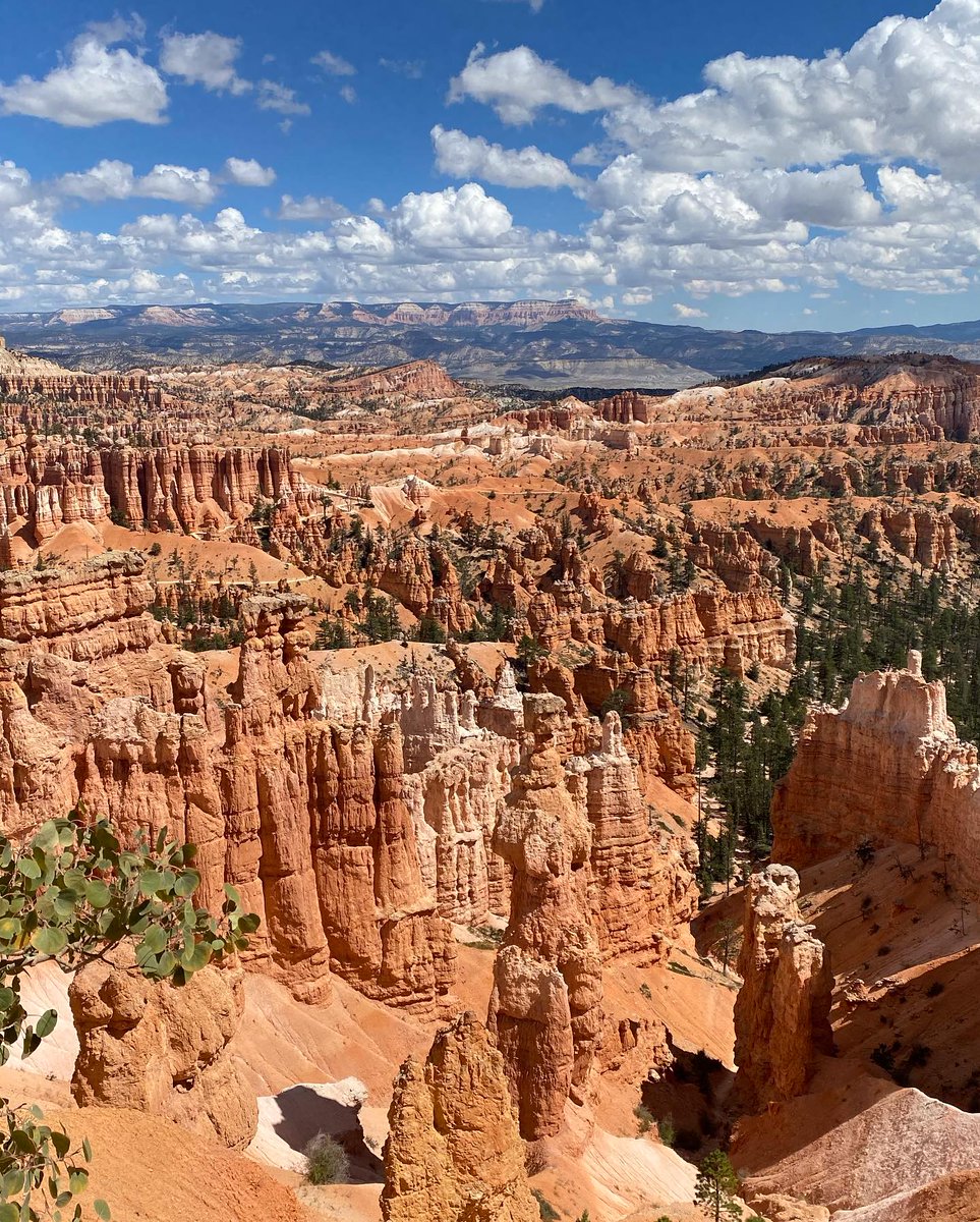 Collette tweet media