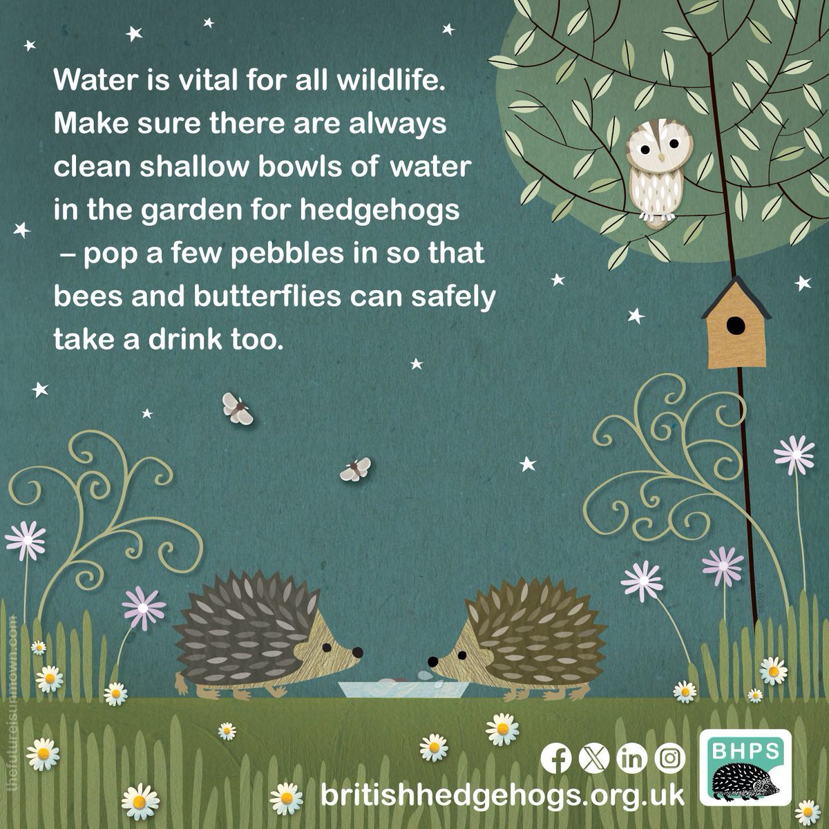 Offering #waterforwildlife makes a huge difference – especially to #hedgehogs! 
🦔 💧 💚 
Give hedgehogs the edge &amp; do something good for #wildlife all year long! 

Thanks to The Future is Unmown for donating this amazing infographic! 
Please #ShareToMakeAware