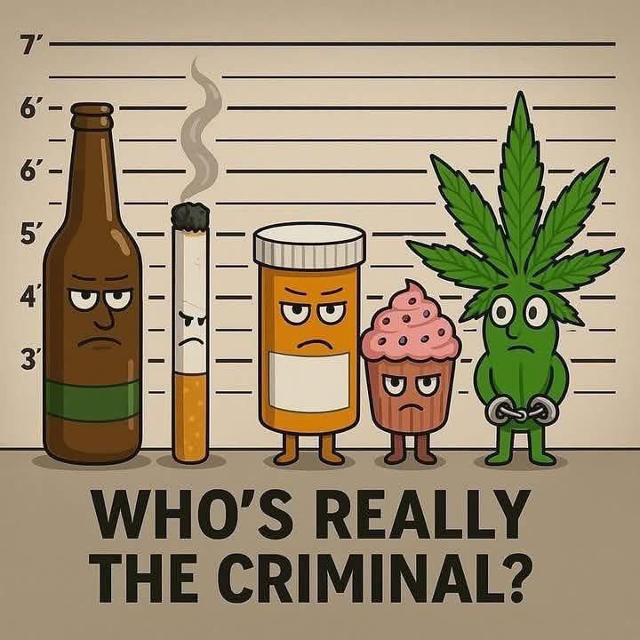 David Dinenberg tweet media