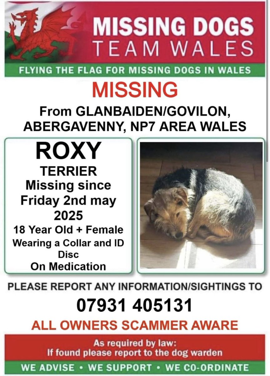 ‼️EXTREMELY URGENT ‼️ANYONE IN THE AREA THAT CAN HELP FIND ROXY WHO IS 18YRS PLUS ‼️

💥#ROXY IS ON MEDICATION 💥
(Pain relief Meds )
#MISSING FROM -#ABERGAVENNY #WALES SINCE FRIDAY 2nd MAY 
Any Voluntary help please would be much appreciated there 💥