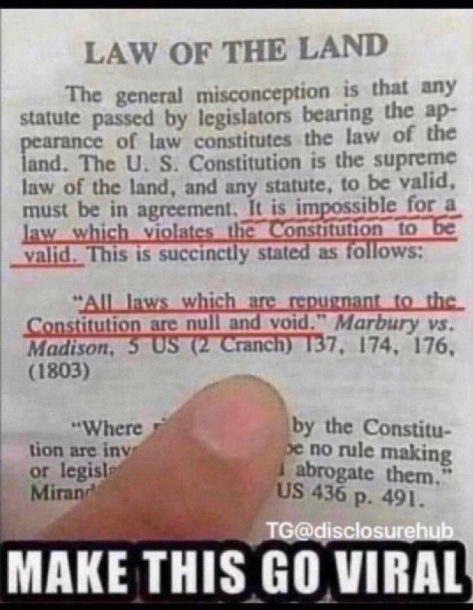 MrPitbull07's tweet image. Ignore the judge