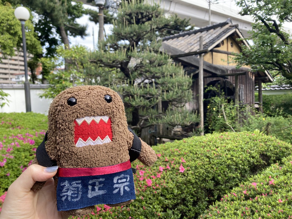 どーも＼| ・vvvv・ |／どーも (@dddd_domo) / X