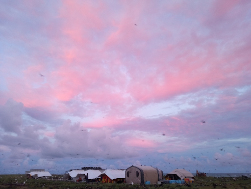 525,600 minutes ... how do you measure, measure a year? 
We're talking about our 2024 camp season in Papahānaumokuākea Marine National Monument. Teams freed more than 450 turtles from aging infrastructure and conducted 26 Hawaiian monk seal interventions. fisheries.noaa.gov/feature-story/…