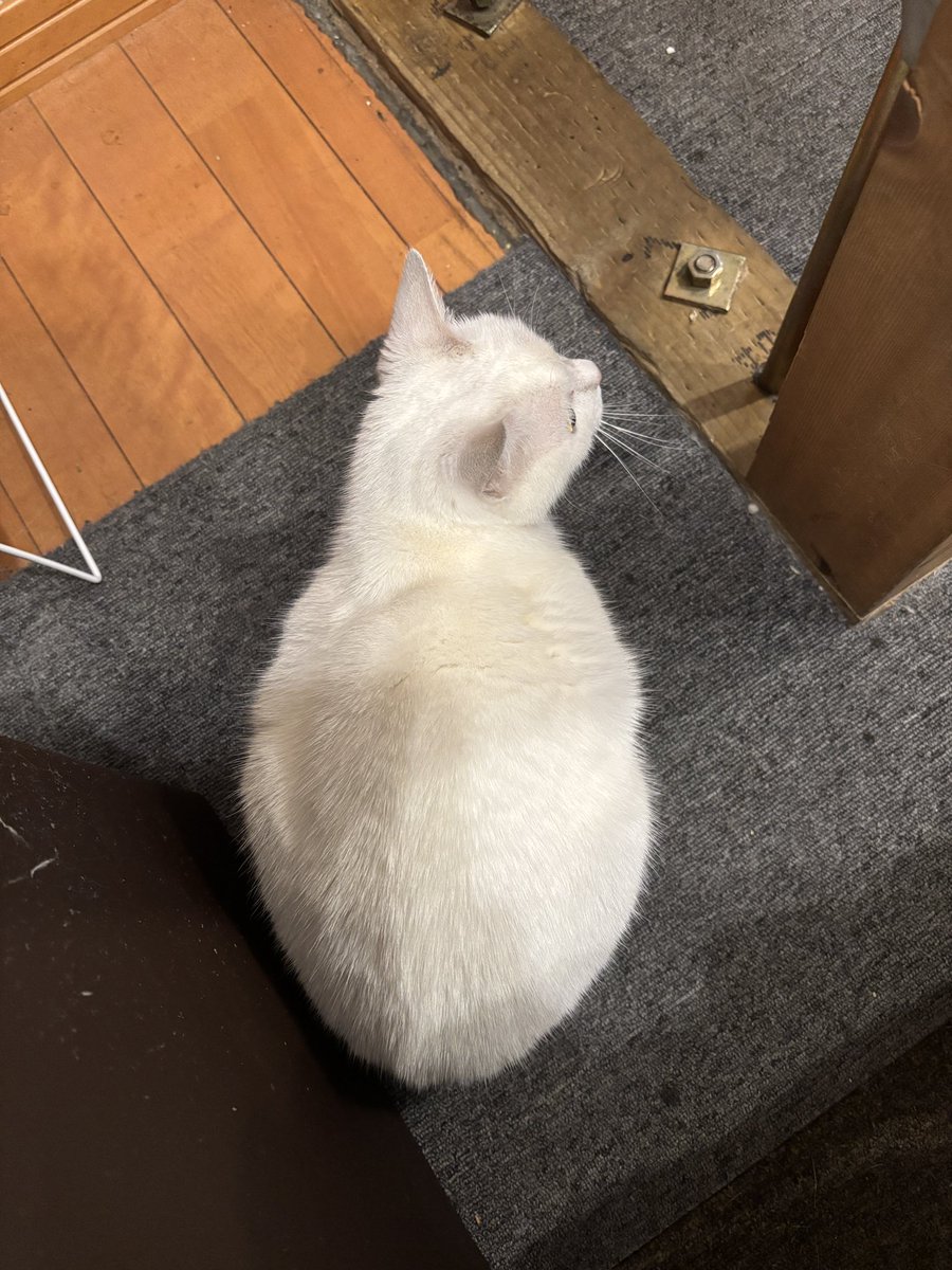 リュミエールでバリトンを吹いてますが年々バリトン吹けなくなっているのは自覚しておりまして、こんなんじゃお客様にもメンバーにも申し訳ないと思いながら演奏していてその考え方も嫌すぎて沈没しておりました…