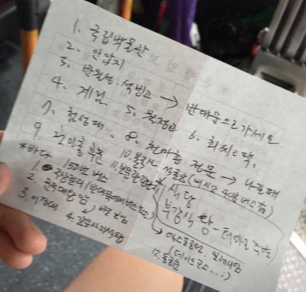돌리스타 tweet media