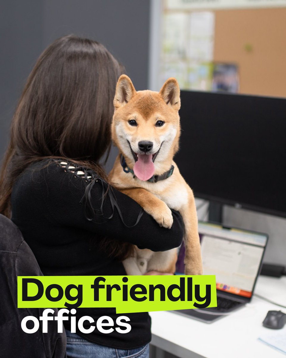 🐾 Meet our coworkers — they have four legs, wagging tails, and lots of love to give!

At inDrive’s Kazakhstan and Cyprus offices, pets are always welcome. From corgis and rescued pups to curious cats, our furry friends bring more than just cuteness — they make our workplace